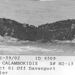 Fluke of CRC-9509
