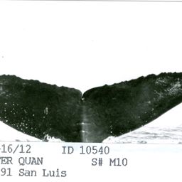 Fluke of CRC-10540