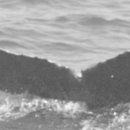 Fluke of CRC-12257