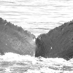Fluke of Pupuhookani