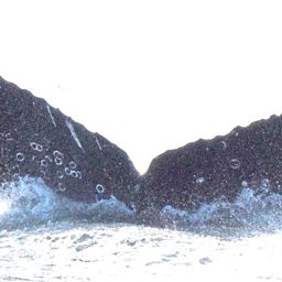 Fluke of Kuhukuku