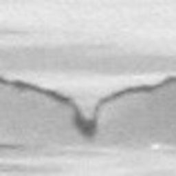 Fluke of CRC-13783