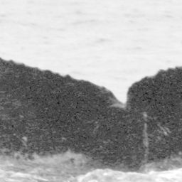 Fluke of CRC-13796