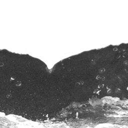 Fluke of CRC-12467