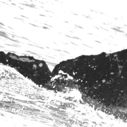 Fluke of UABCS-MN3-04C0227