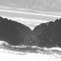 Fluke of Kilo Lani
