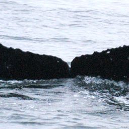 Fluke of CRC-19362