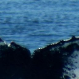 Fluke of CRC-19366