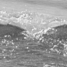 Fluke of CRC-19376