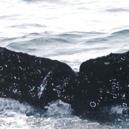 Fluke of CRC-18893