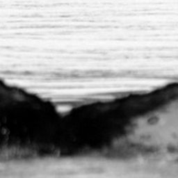 Fluke of CRC-19459