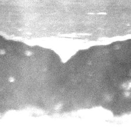 Fluke of Koiuiu