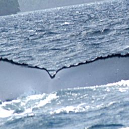 Fluke of HW-MN1200103
