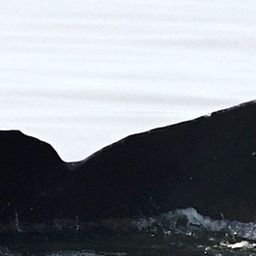 Fluke of HW-MN0401199