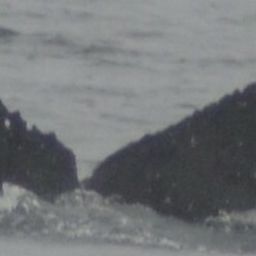 Fluke of Qugaarkunani