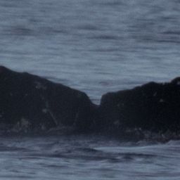 Fluke of HW-MN0401232