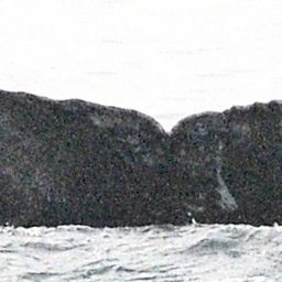 Fluke of HW-MN0401246