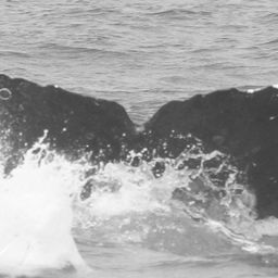 Fluke of CRC-12579