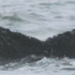 Fluke of HW-MN0443127