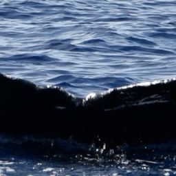 Fluke of HW-MN0443145
