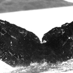 Fluke of CroMagnon