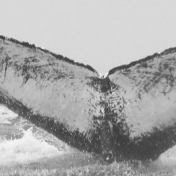 Fluke of Diamond
