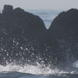 Fluke of CRC-15353