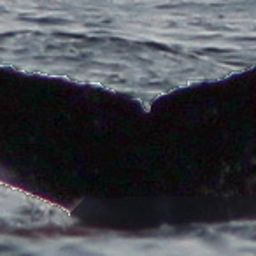 Fluke of FIBB-3BB471