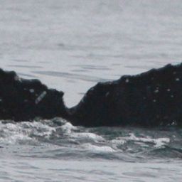 Fluke of HW-MN0522645