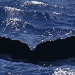 Fluke of HW-MN0443228
