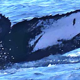 Fluke of HW-MN0102458