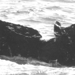 Fluke of CRC-10120