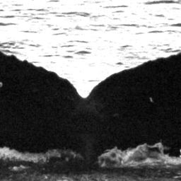 Fluke of Imiikekumu