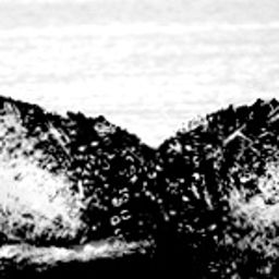 Fluke of Ebullient