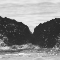 Fluke of Hiuwai