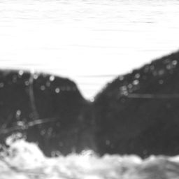 Fluke of Hokulele