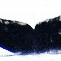 Fluke of HW-MN0420254