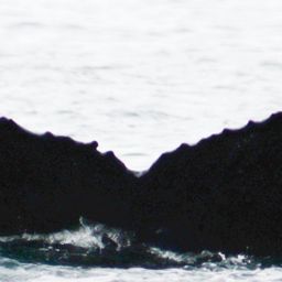 Fluke of HW-MN0420257