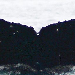 Fluke of Dusky