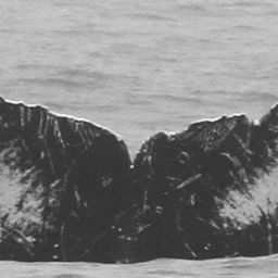 Fluke of CRC-10124
