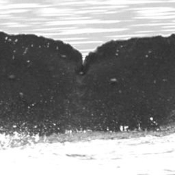 Fluke of MaikaMaika