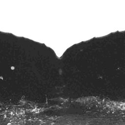 Fluke of Melville