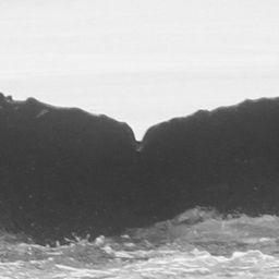 Fluke of CRC-15370