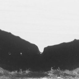 Fluke of CRC-10071