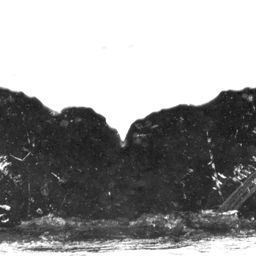 Fluke of Viper