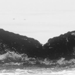 Fluke of CRC-10304