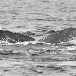 Fluke of BCX1051