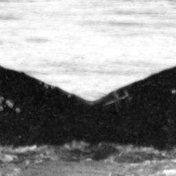 Fluke of Oioina