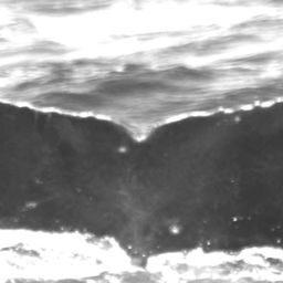 Fluke of Naaukake