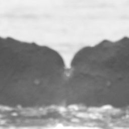 Fluke of Pupule